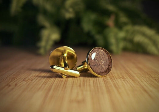 T-Rex Fossil Cufflinks