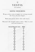 T. Rex Fossil Ring – Steel