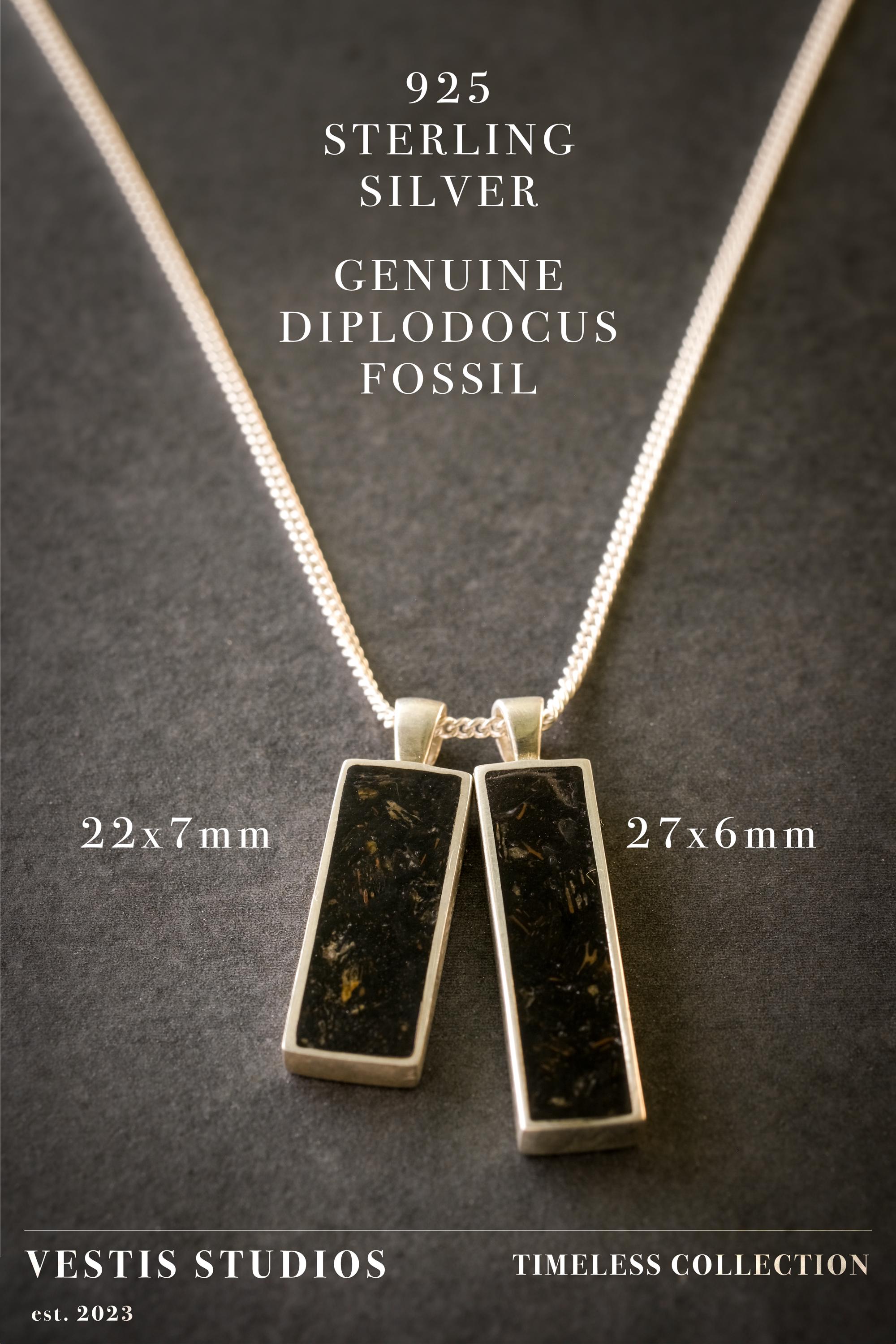 Diplodocus Fossil Jewellery Set – Titanium Ring & Silver Necklace Gift Bundle
