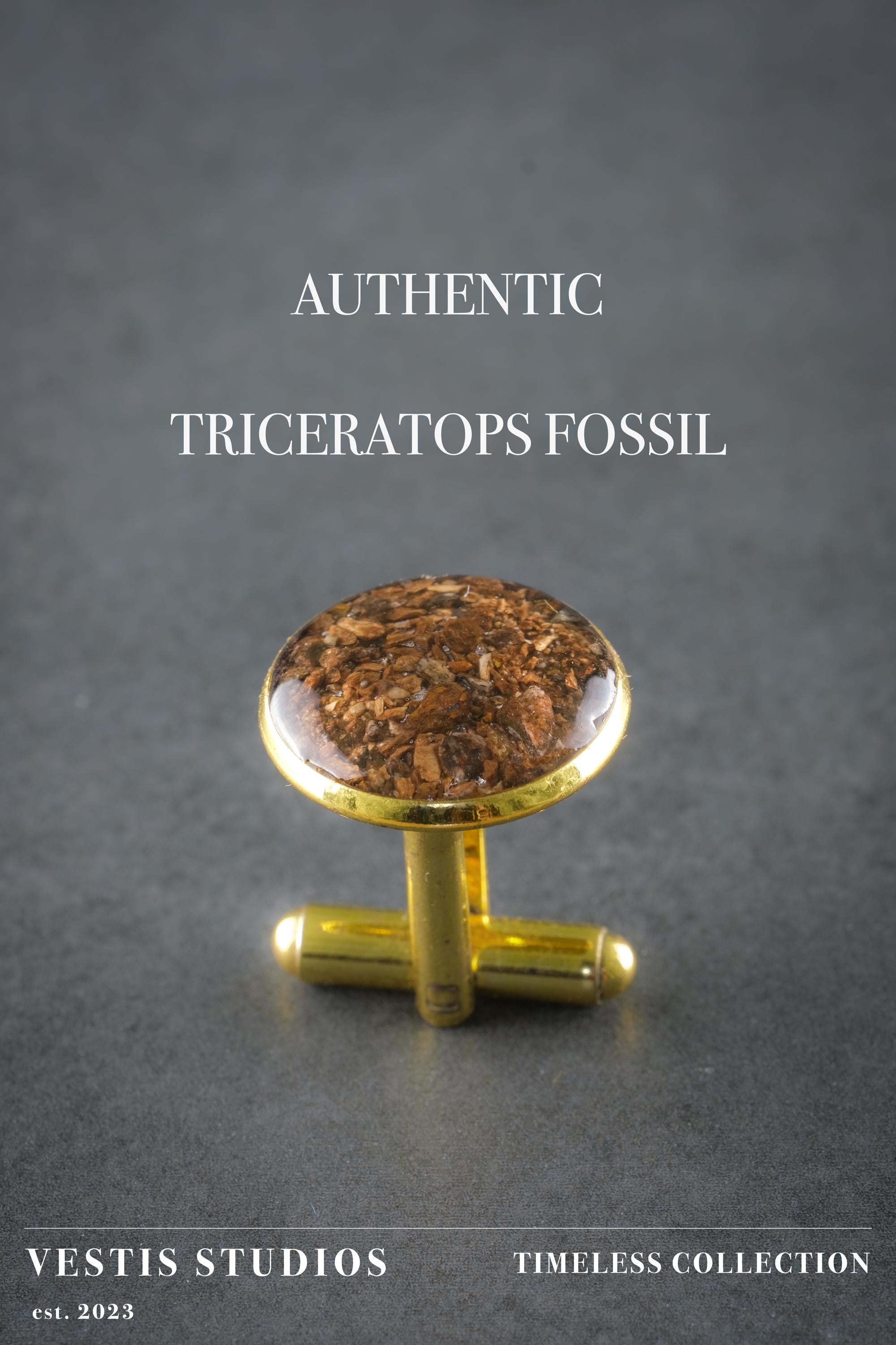 Triceratops Fossil Cufflinks