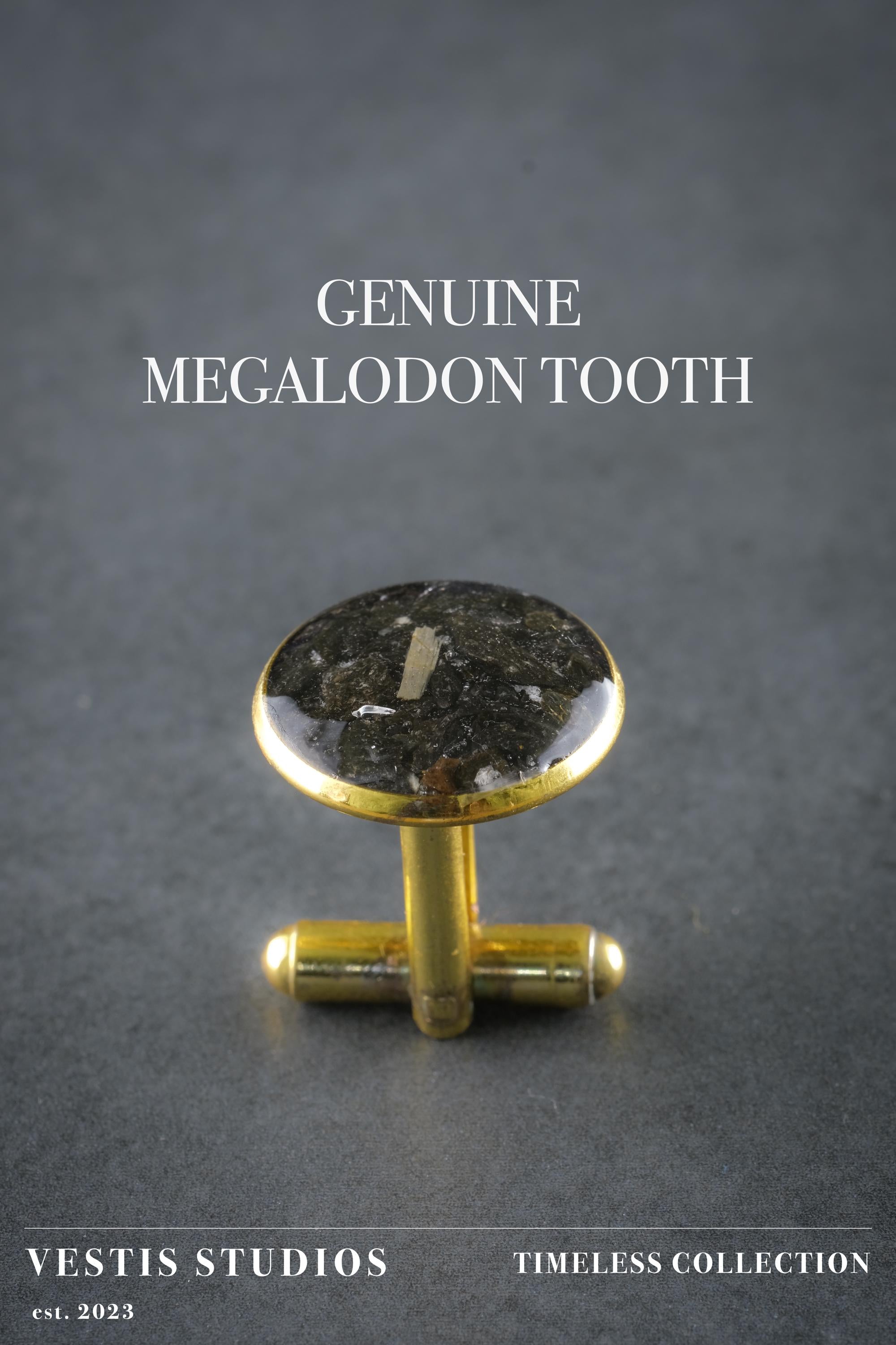 Megalodon Tooth Cufflinks