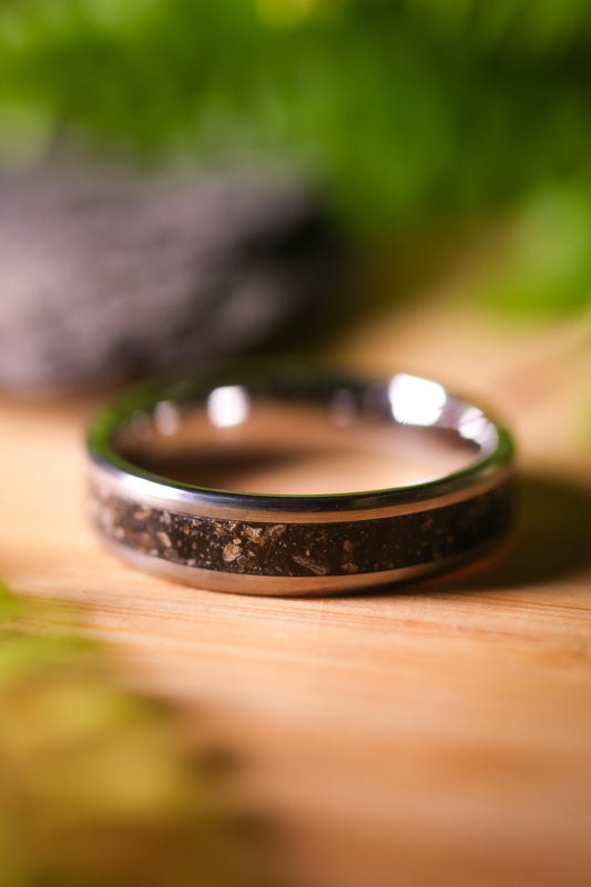 Diplodocus Fossil Ring in Tungsten