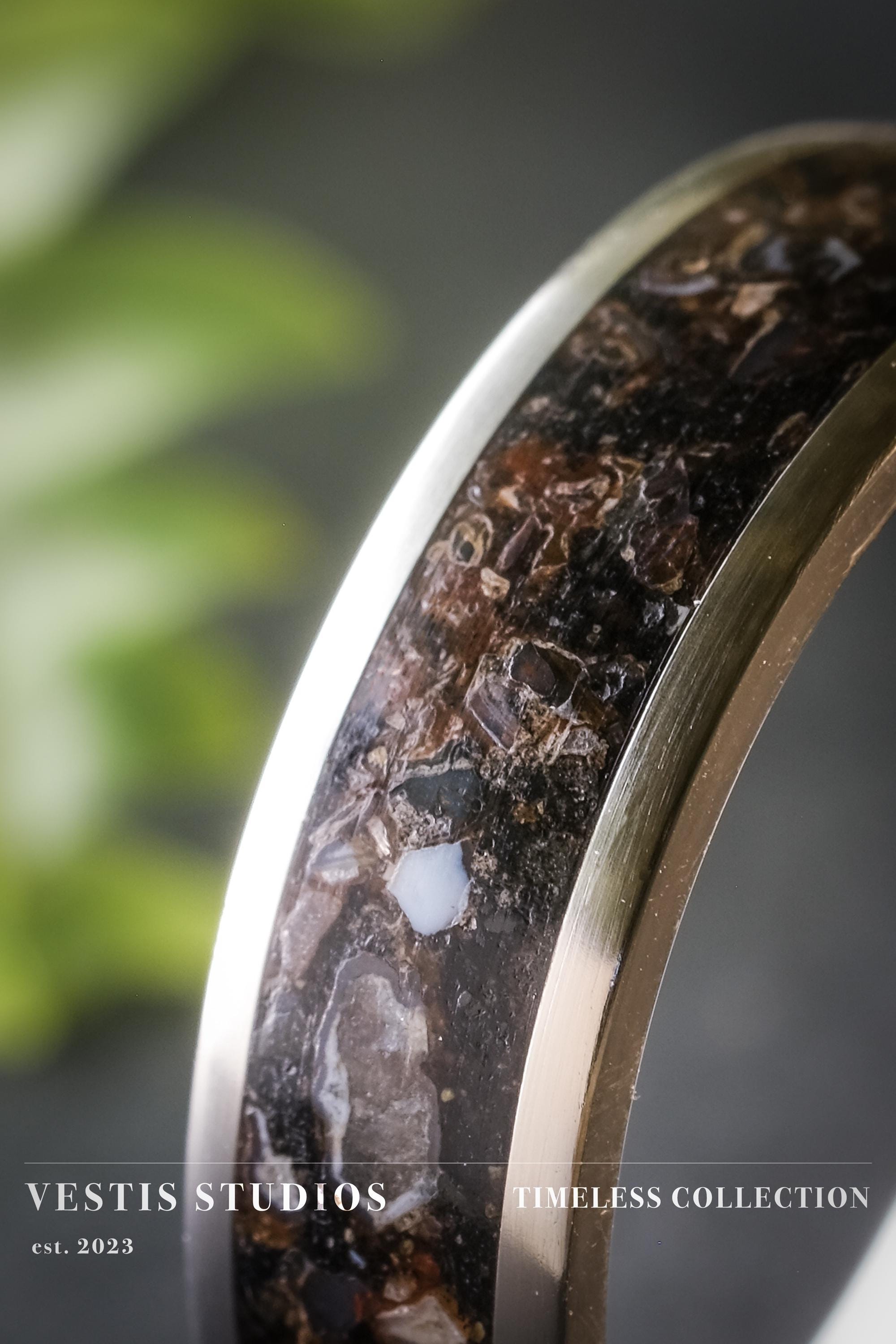 Diplodocus & Meteorite Fossil Ring – Titanium