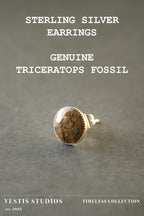Triceratops Fossil Earrings – Sterling Silver
