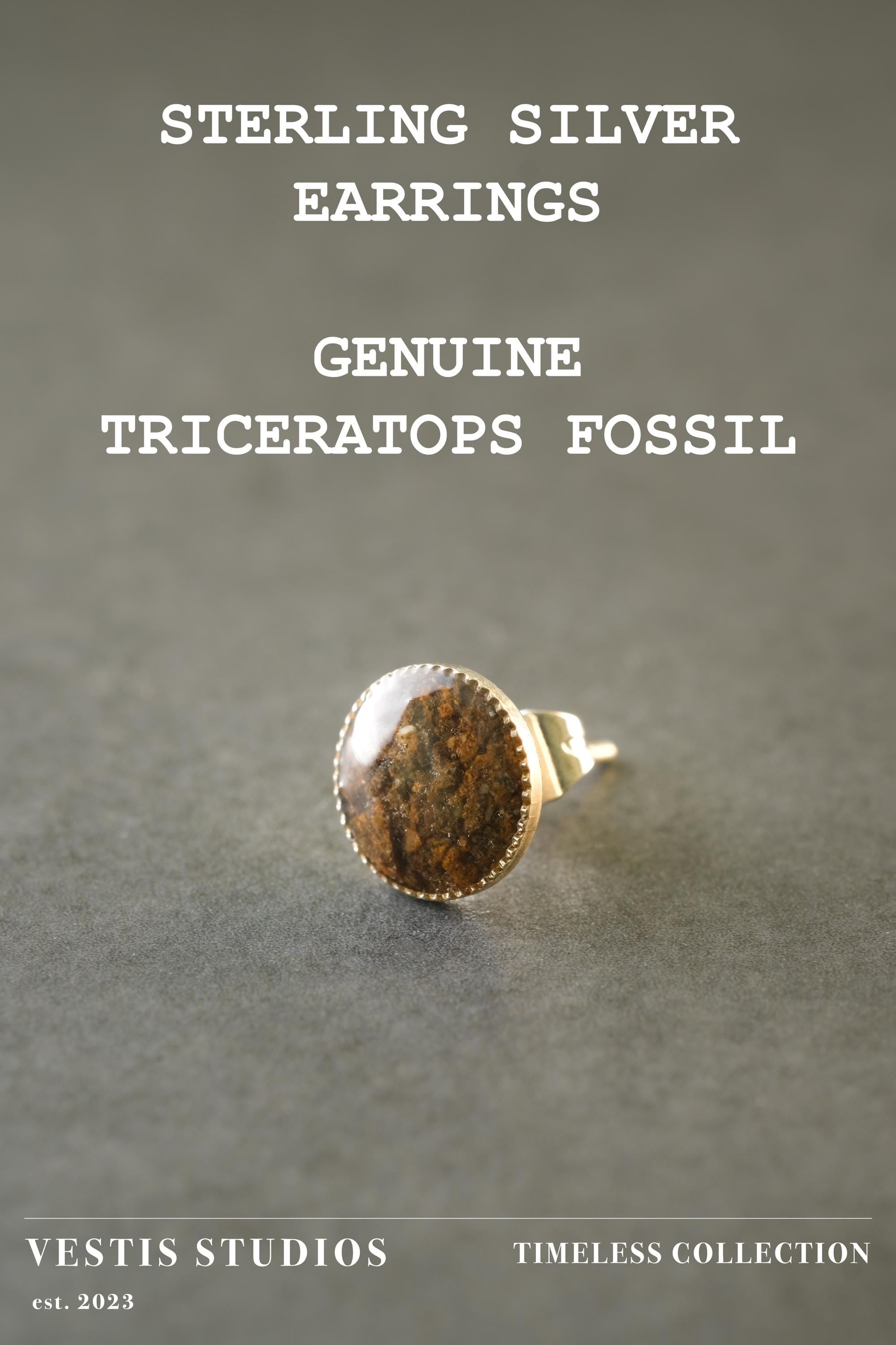 Triceratops Fossil Earrings – Sterling Silver