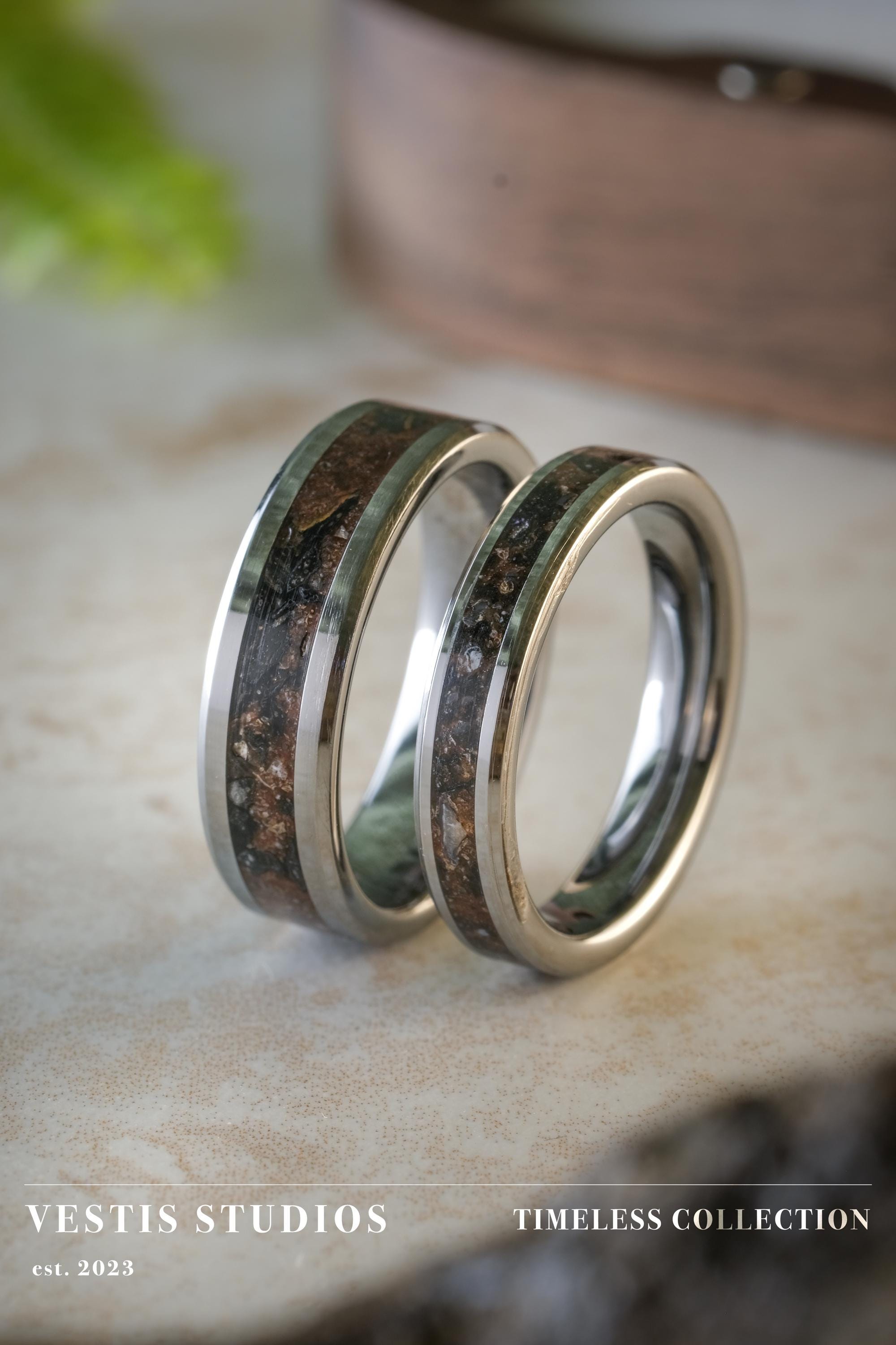 Diplodocus & Meteorite Fossil Wedding Ring Set – Tungsten