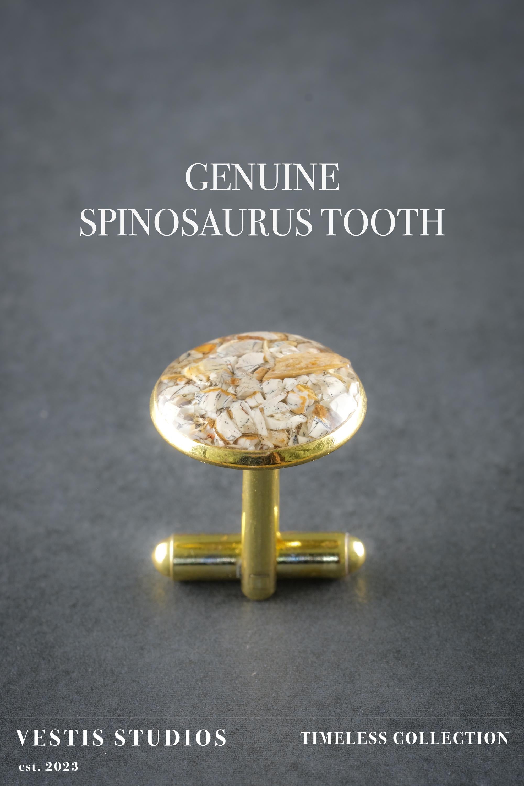 Spinosaurus Tooth Cufflinks
