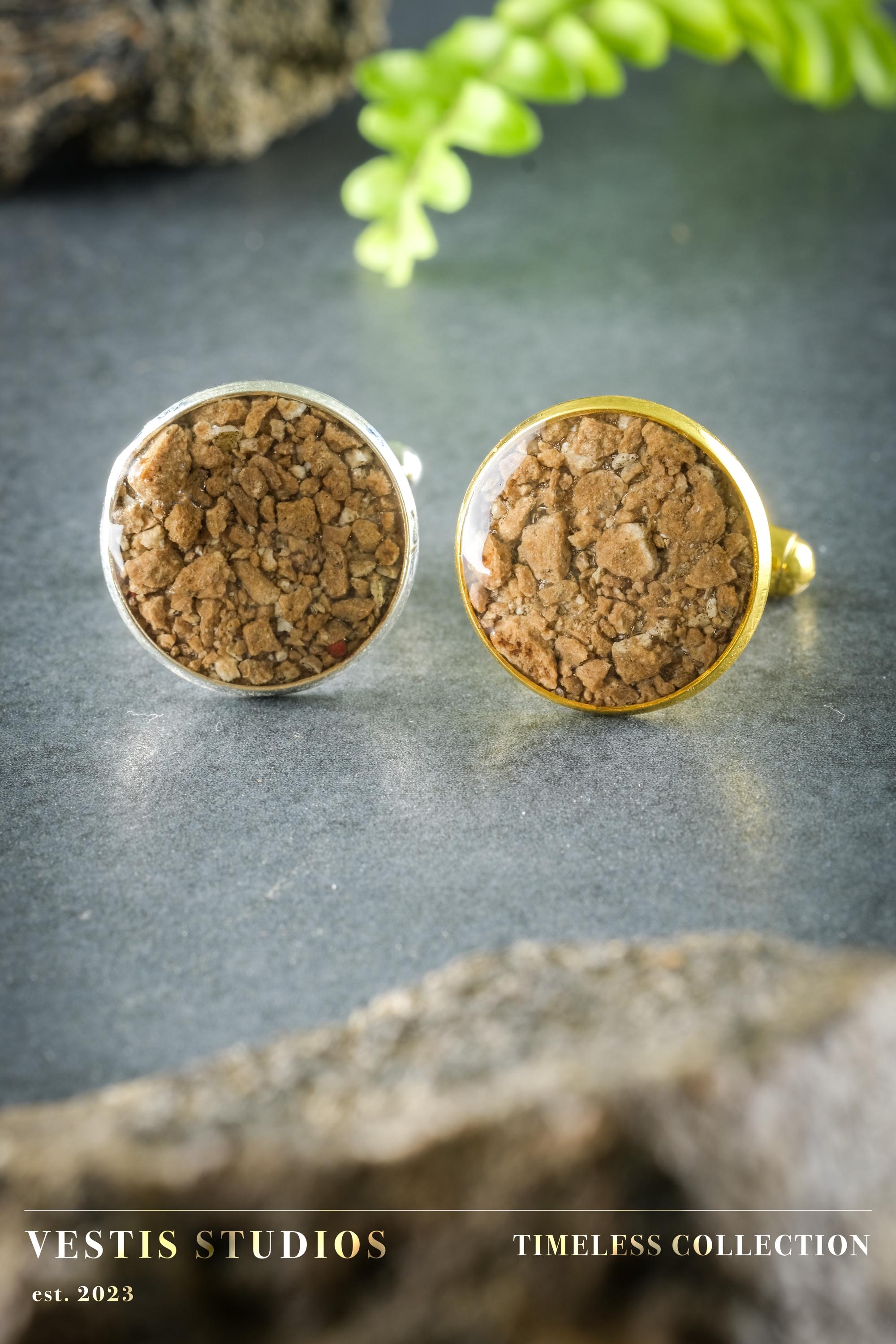 Mosasaur Fossil Cufflinks