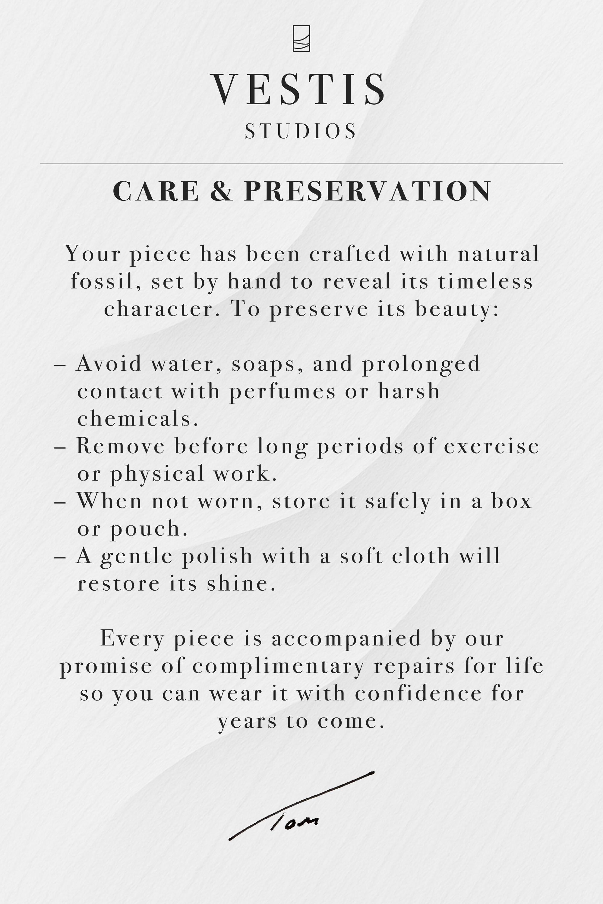 Diplodocus & Meteorite Fossil Wedding Ring Set – Tungsten