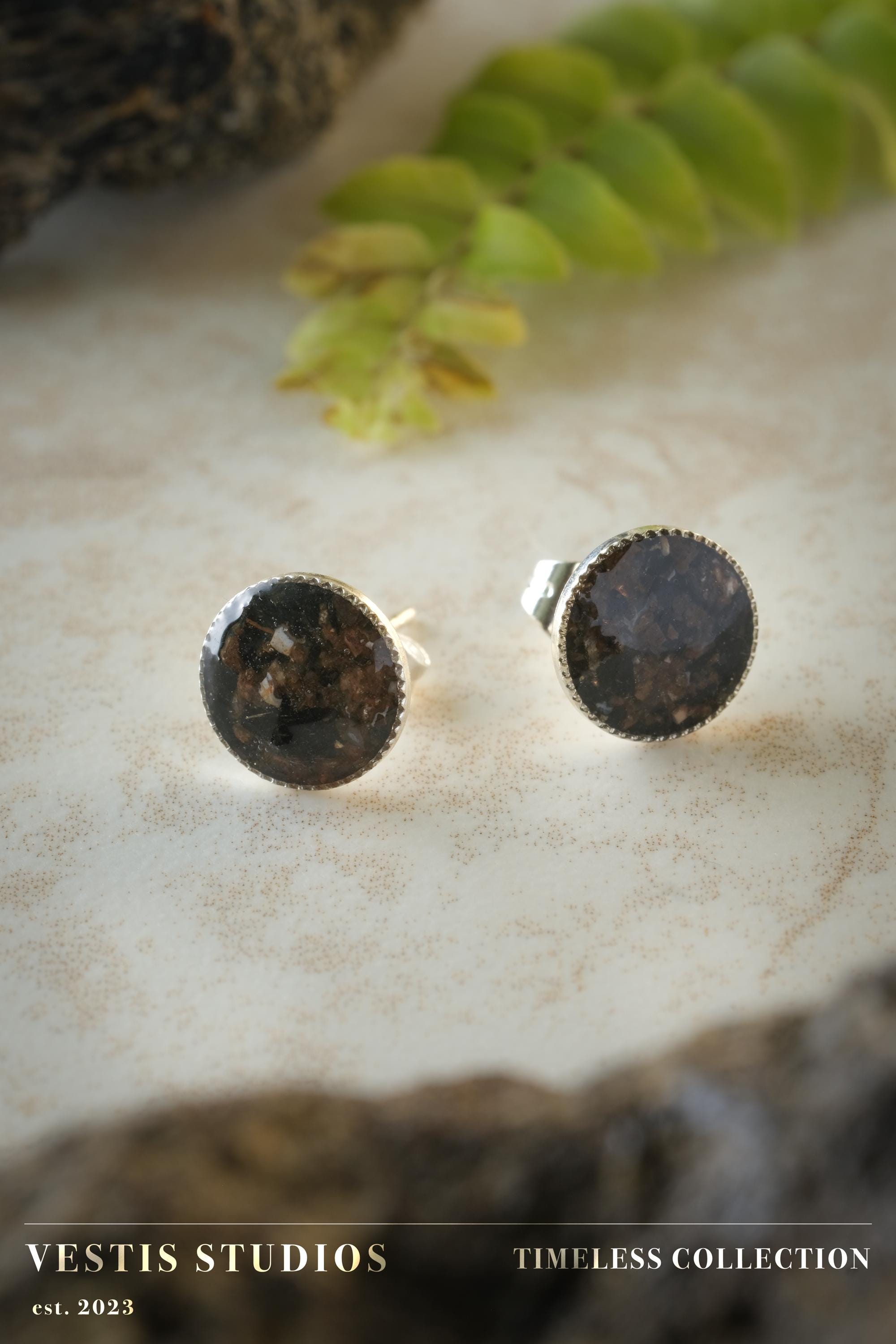 Diplodocus Fossil & Meteorite Earrings – Sterling Silver