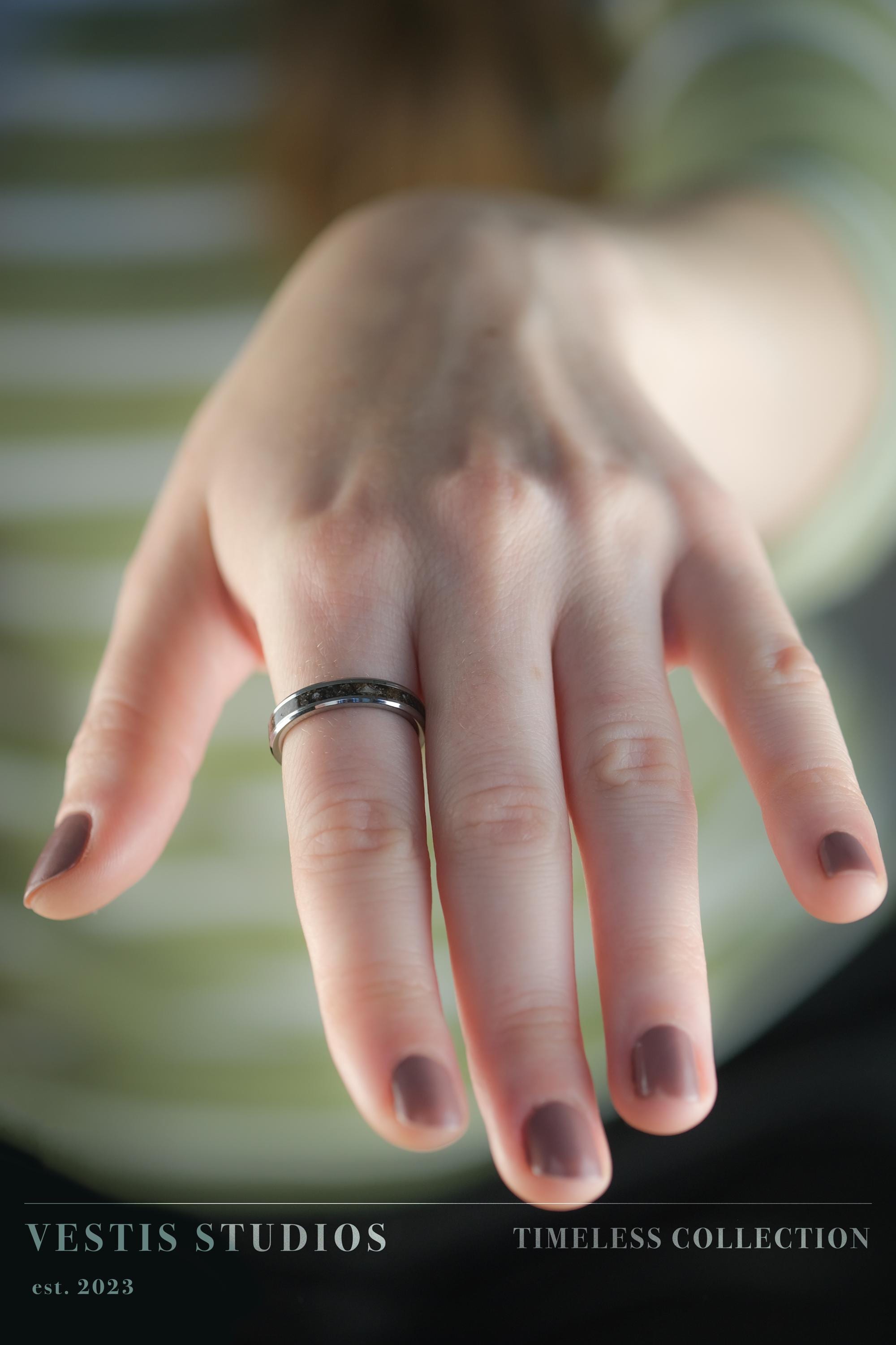 Diplodocus & Meteorite Fossil Wedding Ring Set – Tungsten