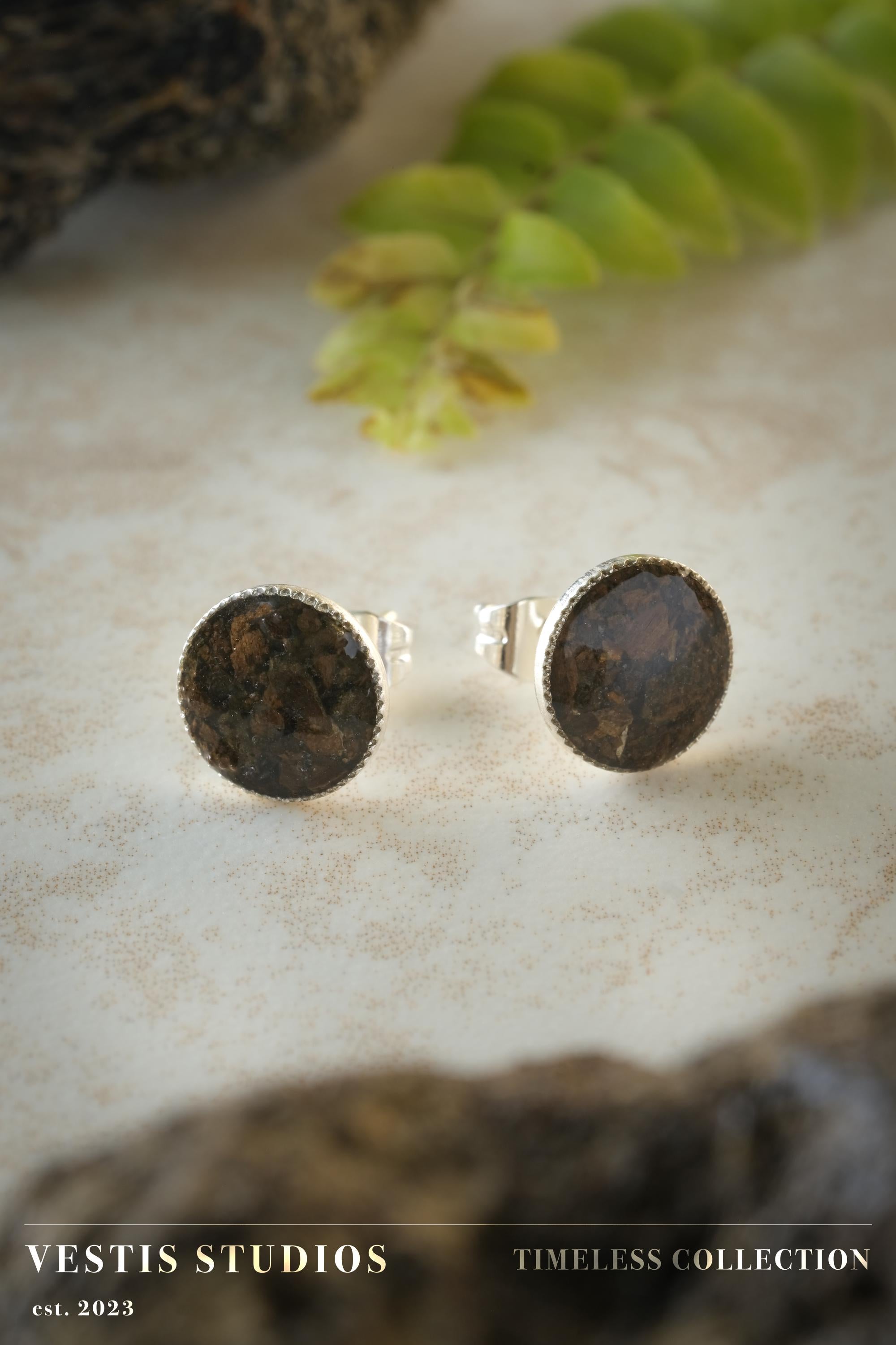 Raptor Fossil Earrings – Sterling Silver