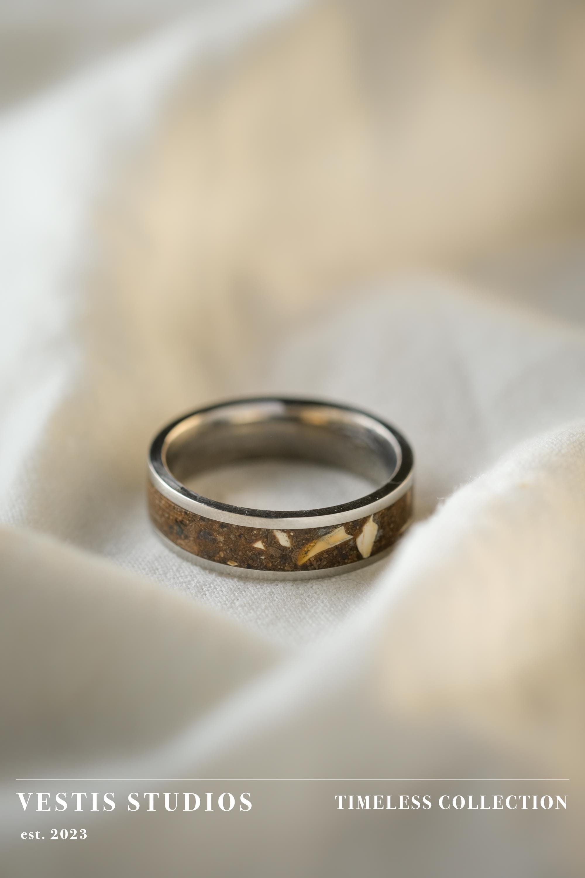 T. Rex, Triceratops & Spinosaurus Fossil Ring – Titanium