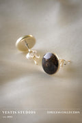 Diplodocus Fossil & Meteorite Earrings – Sterling Silver