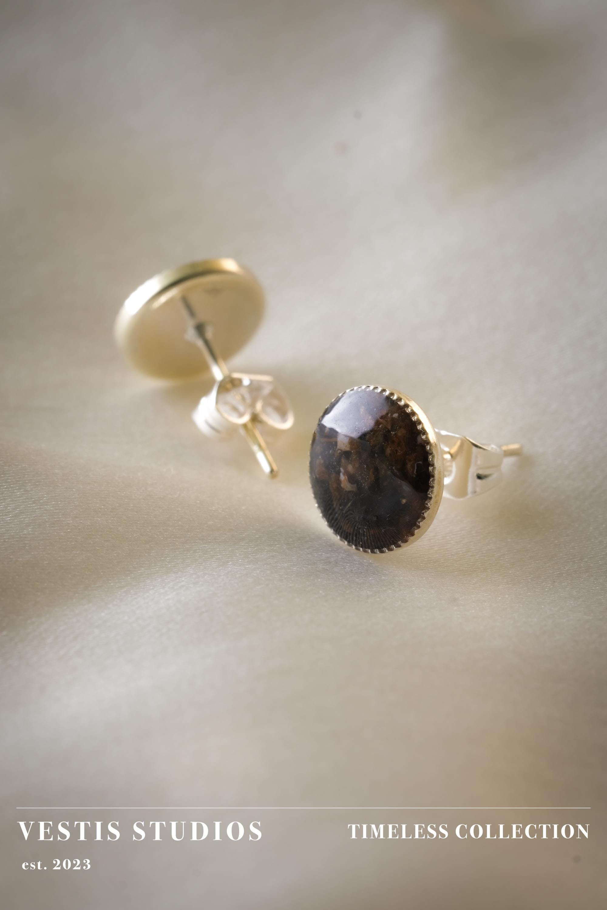 Diplodocus Fossil & Meteorite Earrings – Sterling Silver