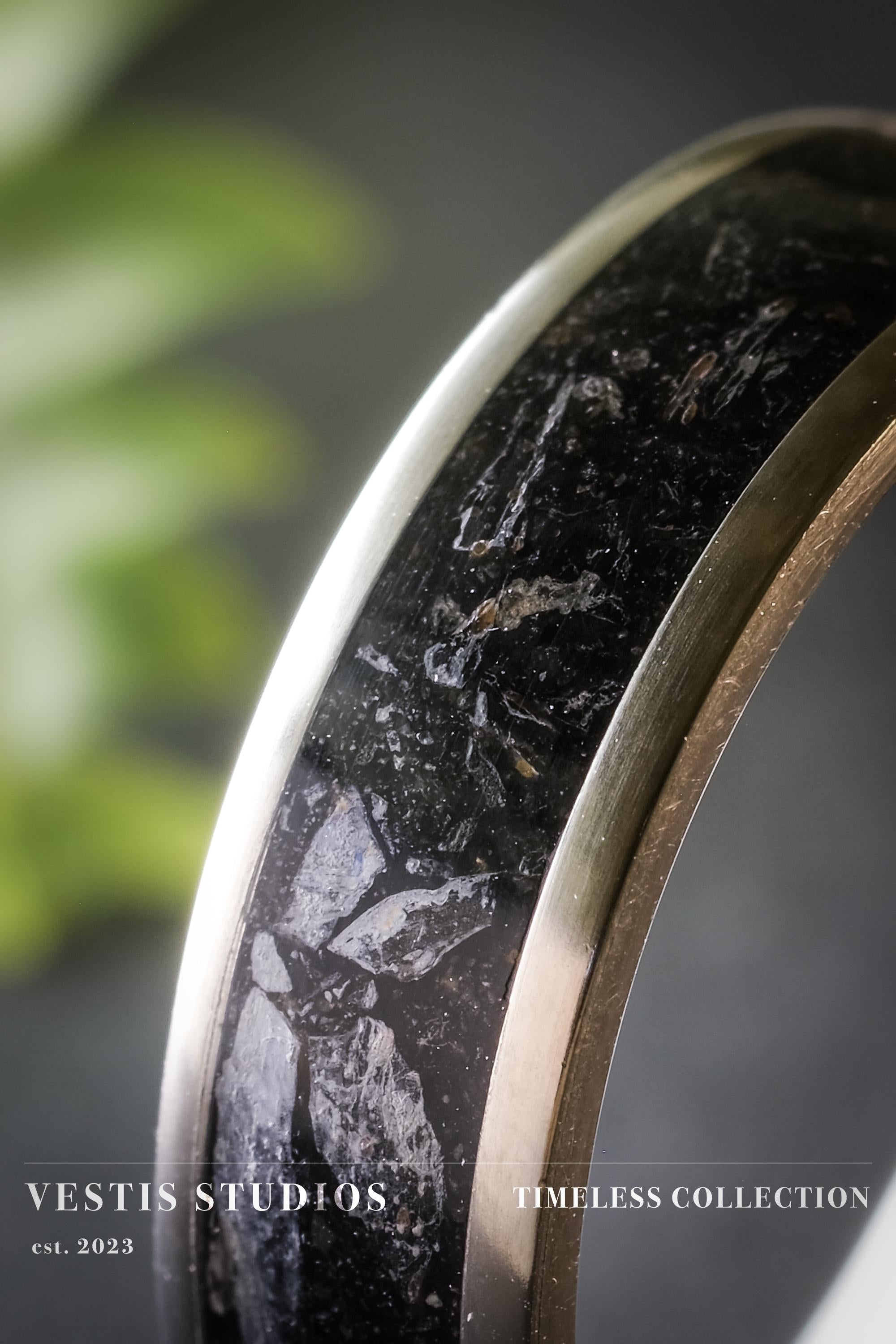 Diplodocus Fossil Ring – Titanium