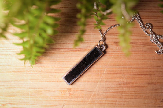 Diplodocus Fossil Pendant Necklace