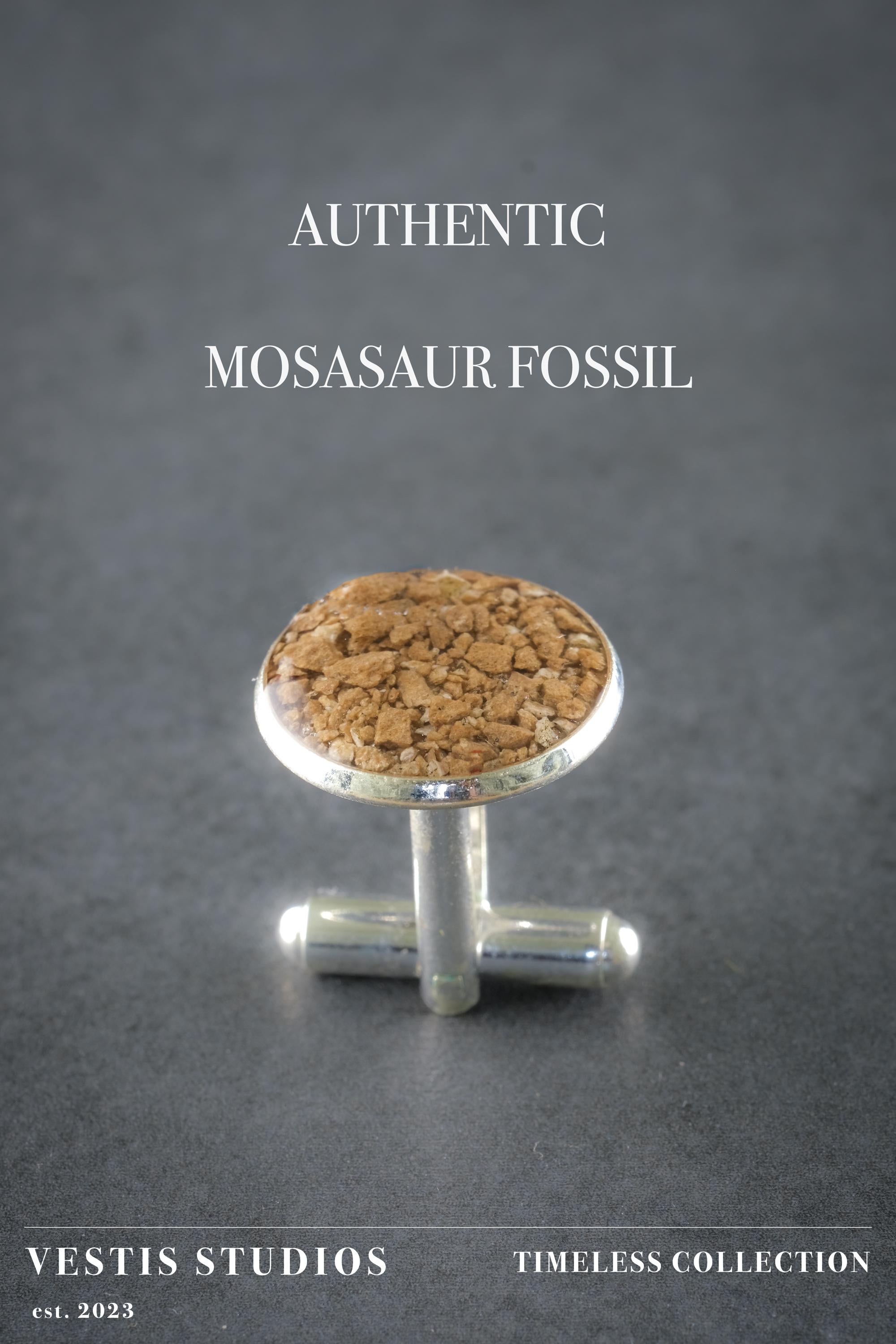 Mosasaur Fossil Cufflinks