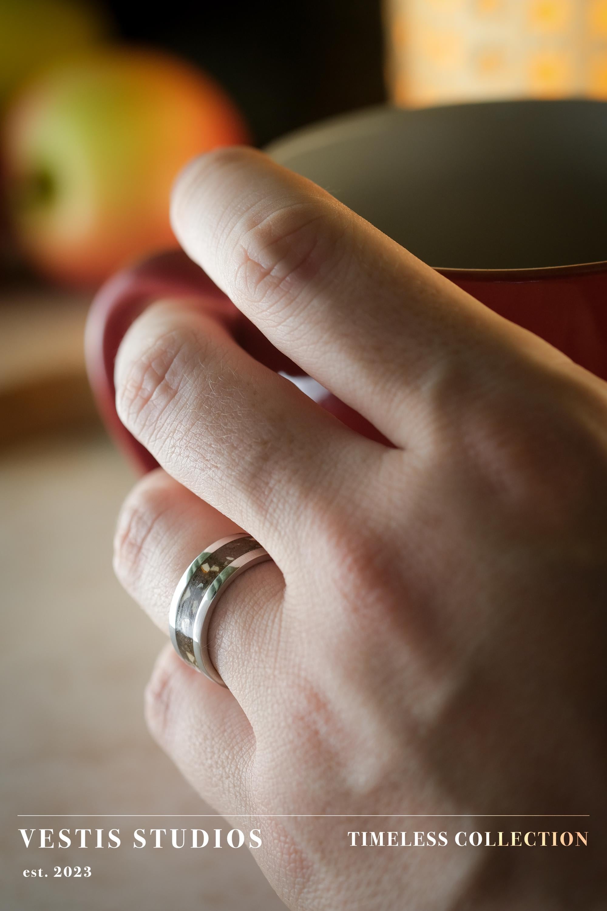 T. Rex, Triceratops & Spinosaurus Fossil Ring – Steel