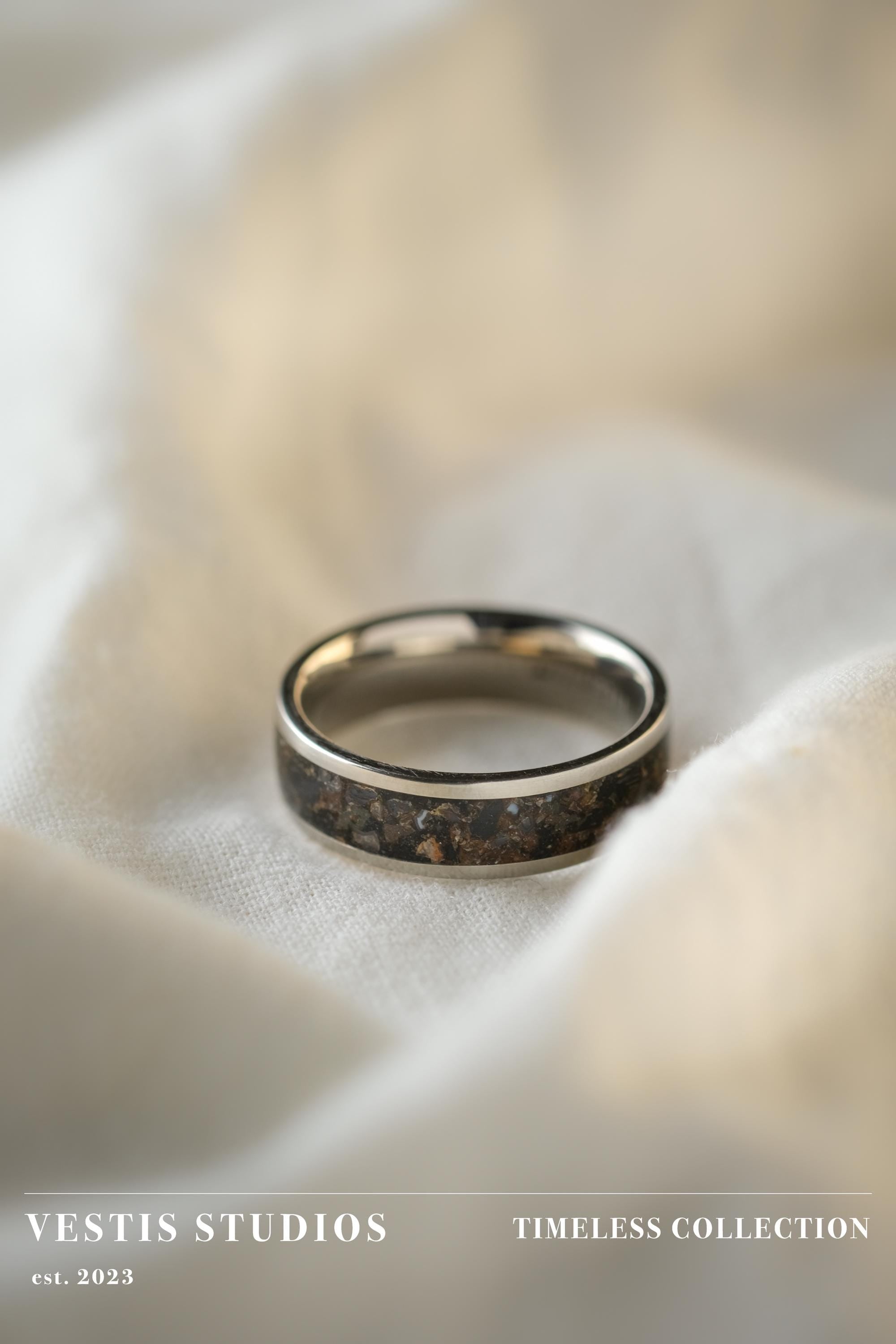 Diplodocus & Meteorite Fossil Ring – Titanium