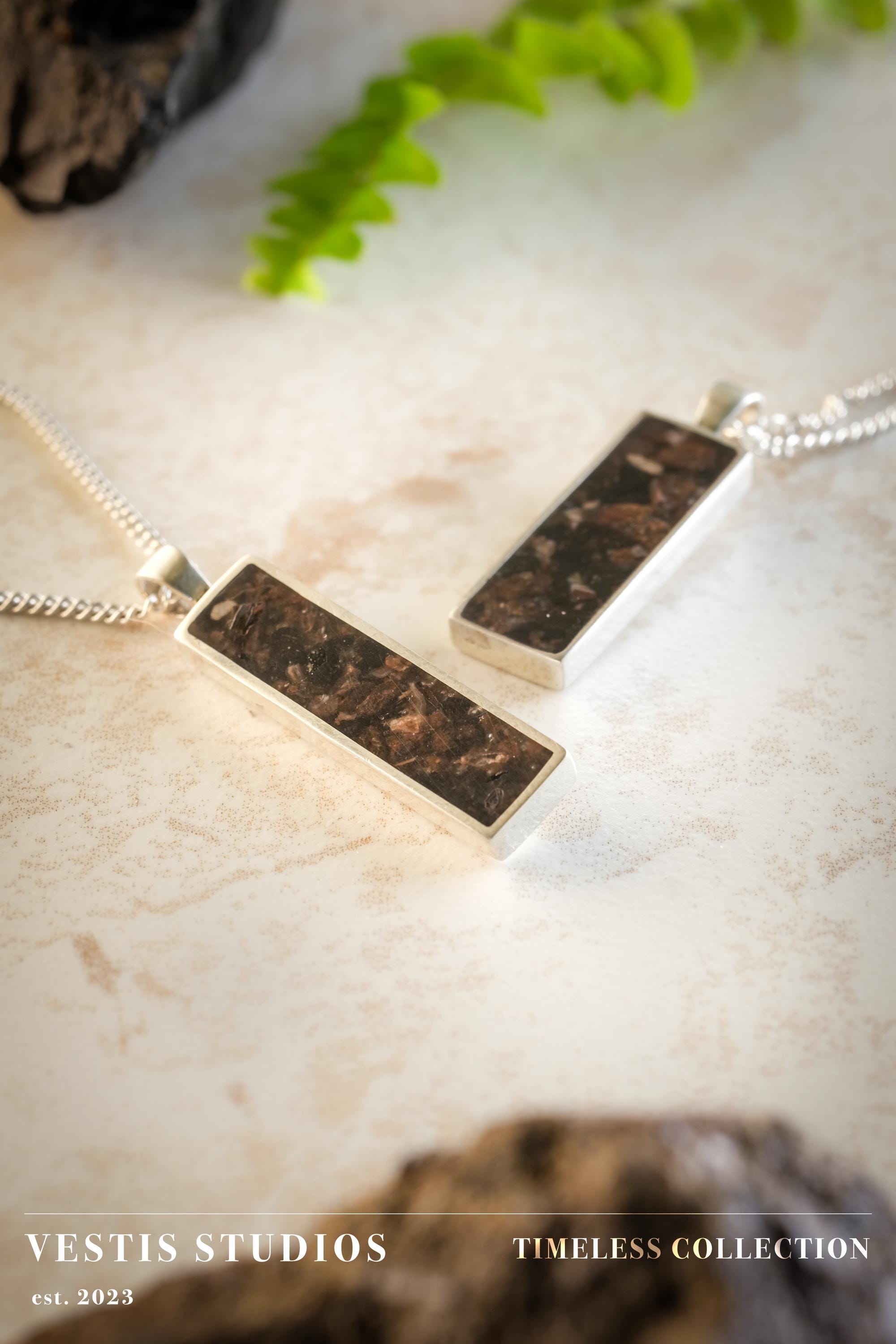 Diplodocus & Meteorite Fossil Necklace – Sterling Silver