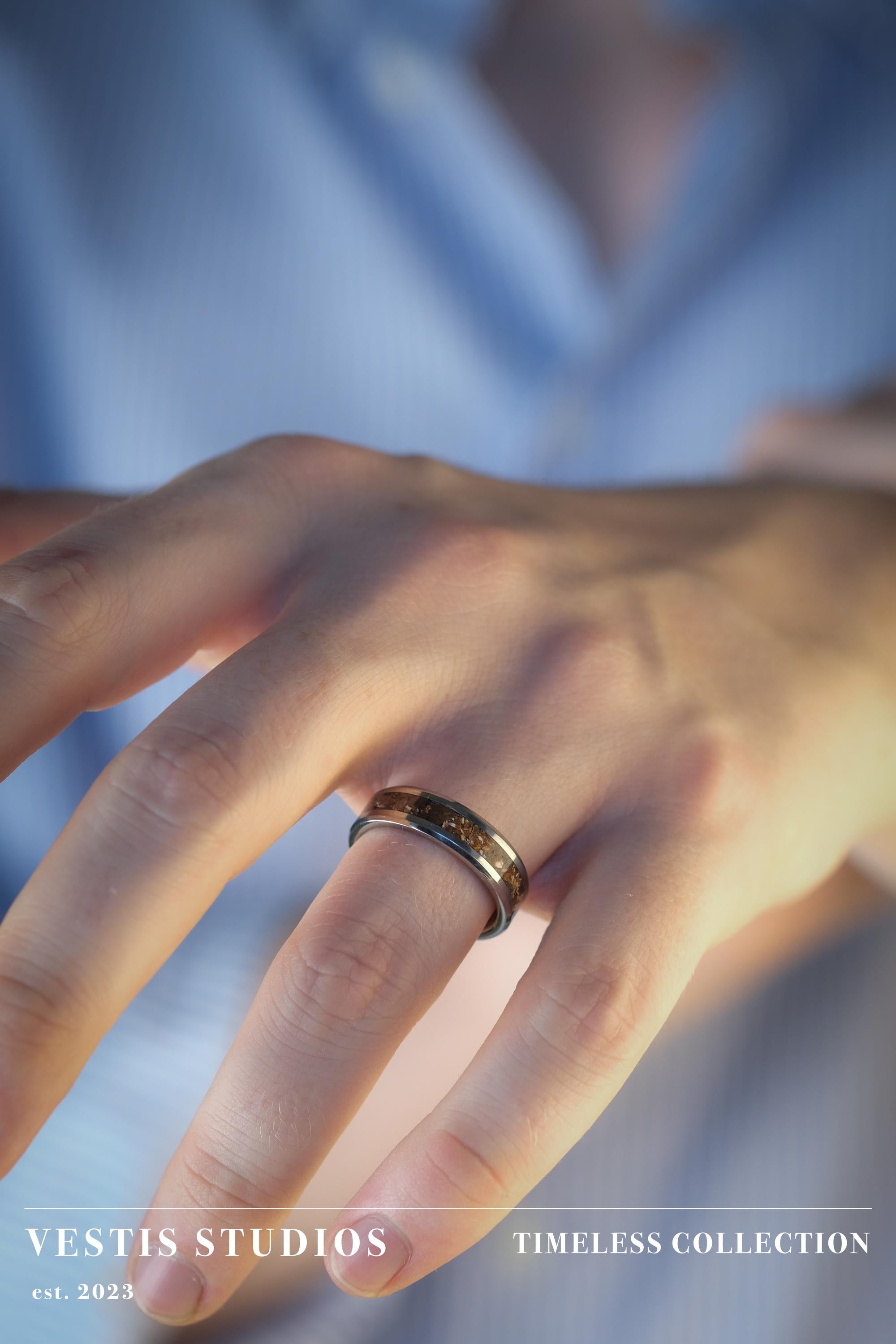 T. Rex, Triceratops & Spinosaurus Fossil Ring – Tungsten Carbide