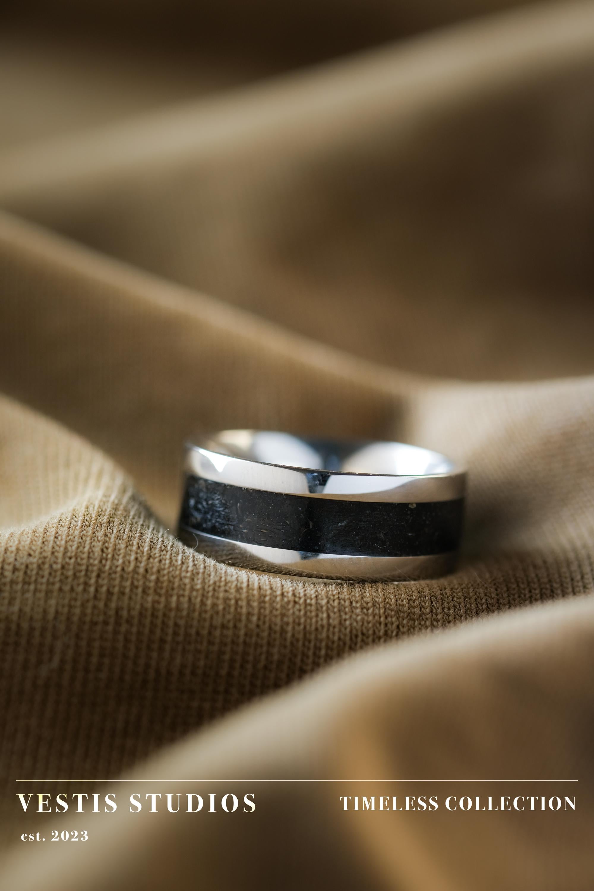 Diplodocus Fossil Ring - Steel