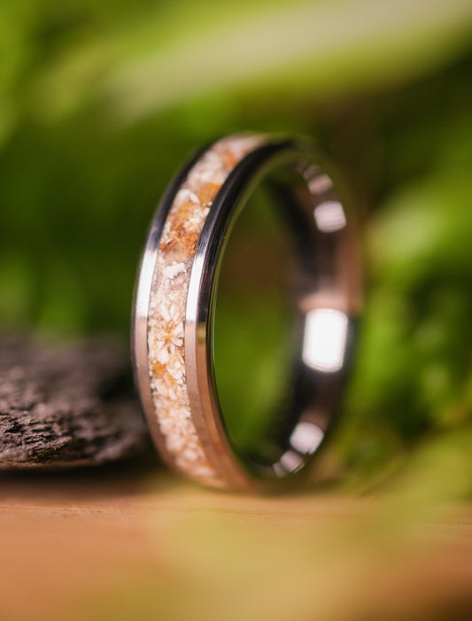 Spinosaurus Tooth Fossil Ring in Tungsten