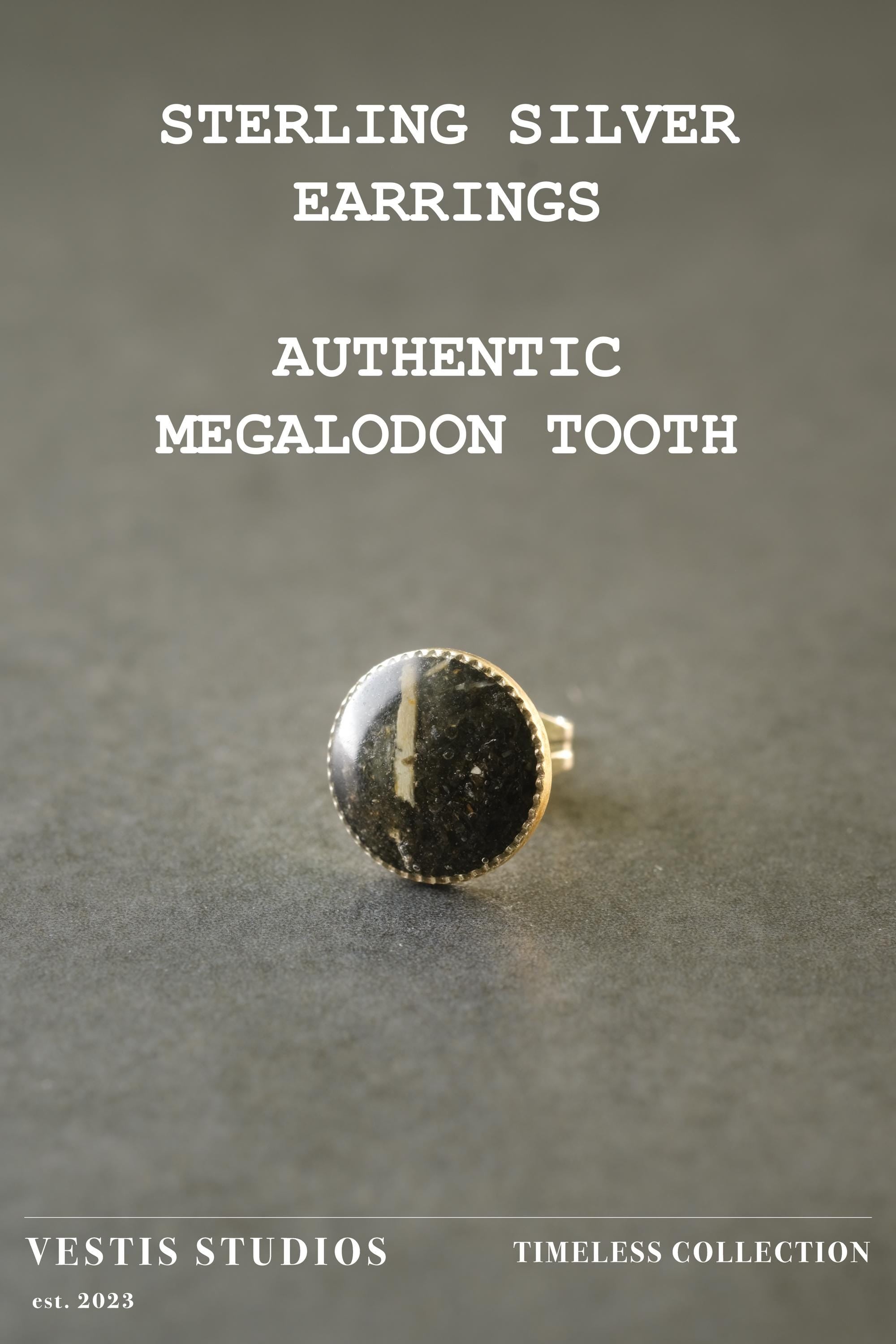 Megalodon Tooth Earrings – Sterling Silver