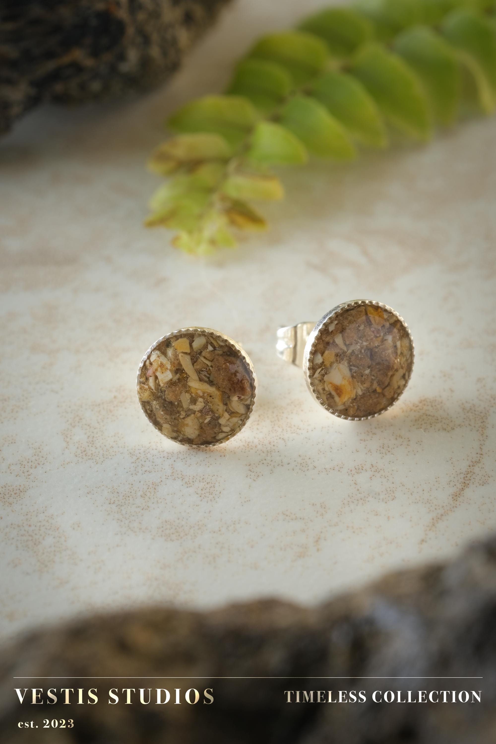 Spinosaurus Tooth & Mosasaur Fossil Earrings – Sterling Silver