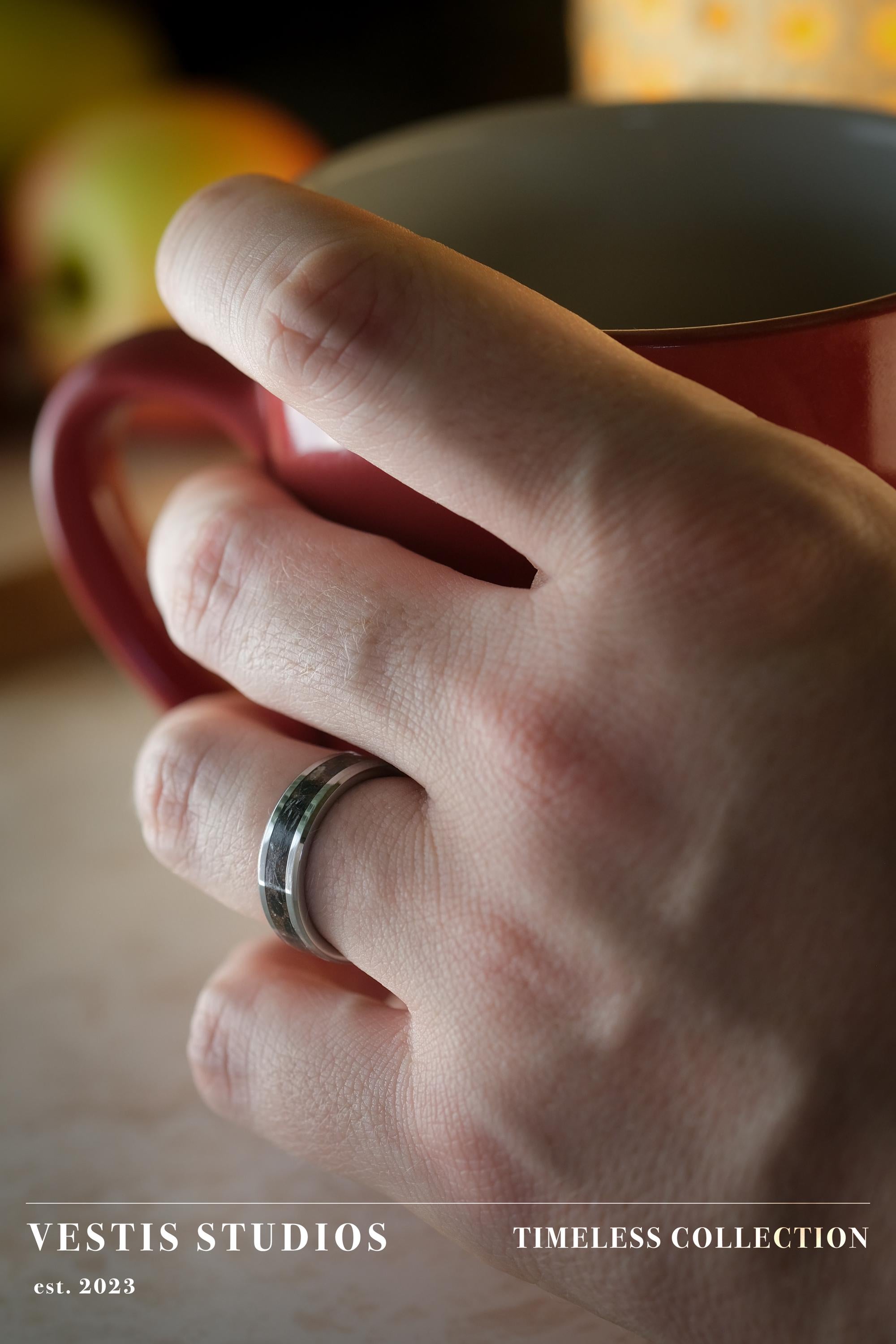 Diplodocus & Meteorite Fossil Ring – Tungsten Carbide