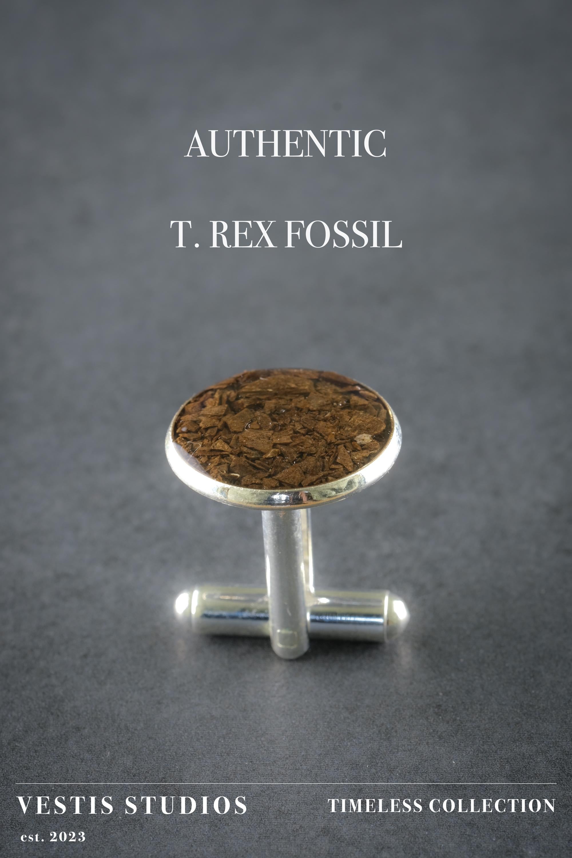 T. Rex Fossil Cufflinks