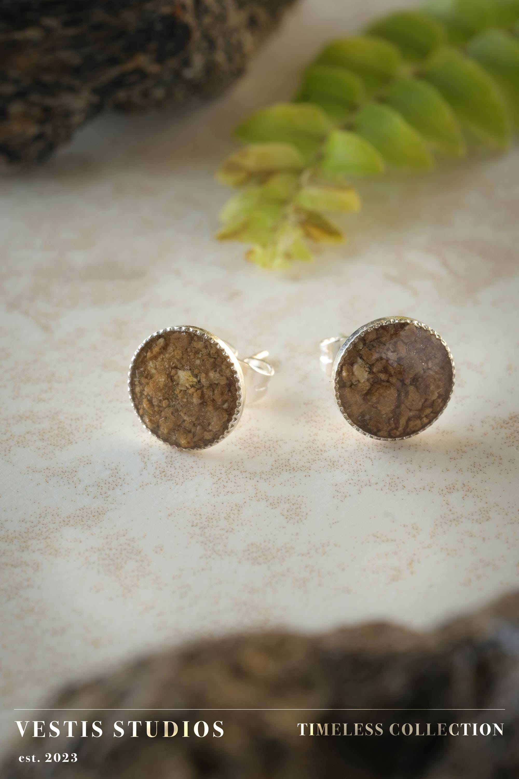 Mosasaur Fossil Earrings – Sterling Silver