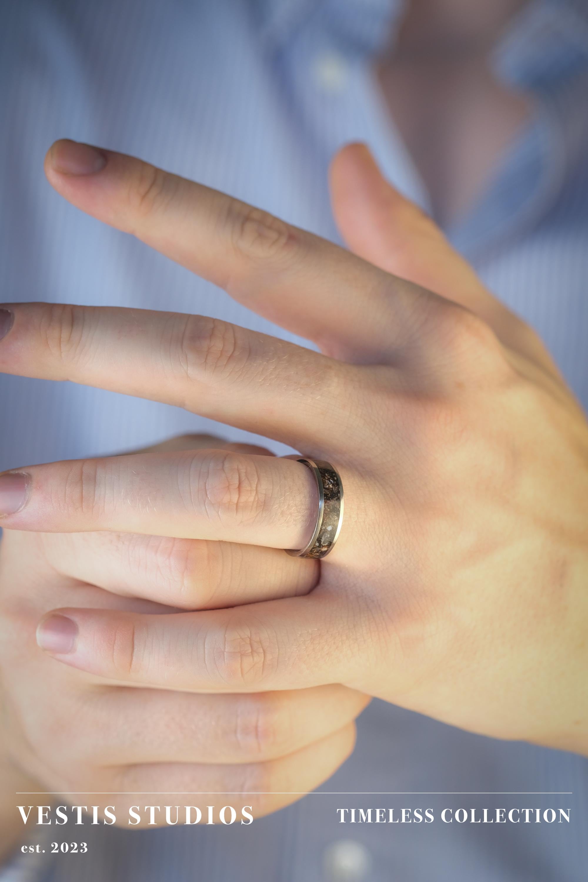 Diplodocus & Meteorite Fossil Ring – Titanium