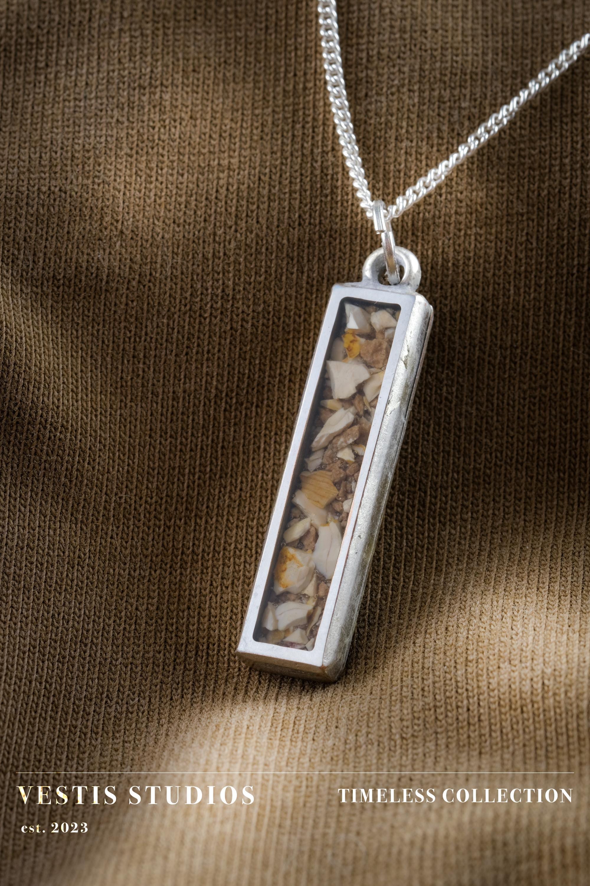 Spinosaurus Tooth & Mosasaur Fossil Necklace – Plated Silver