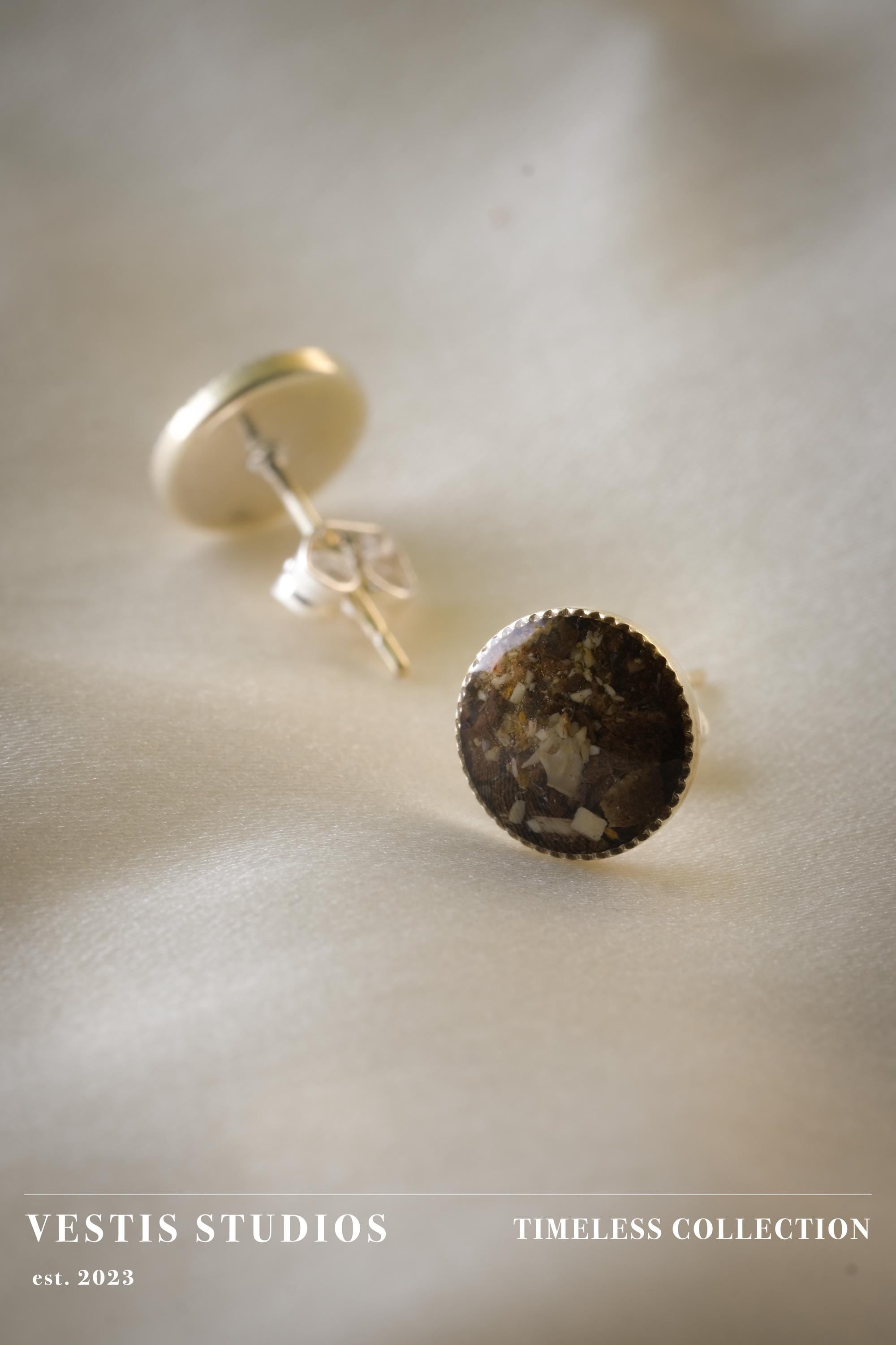 Spinosaurus, Triceratops & T. Rex Fossil Earrings – Sterling Silver