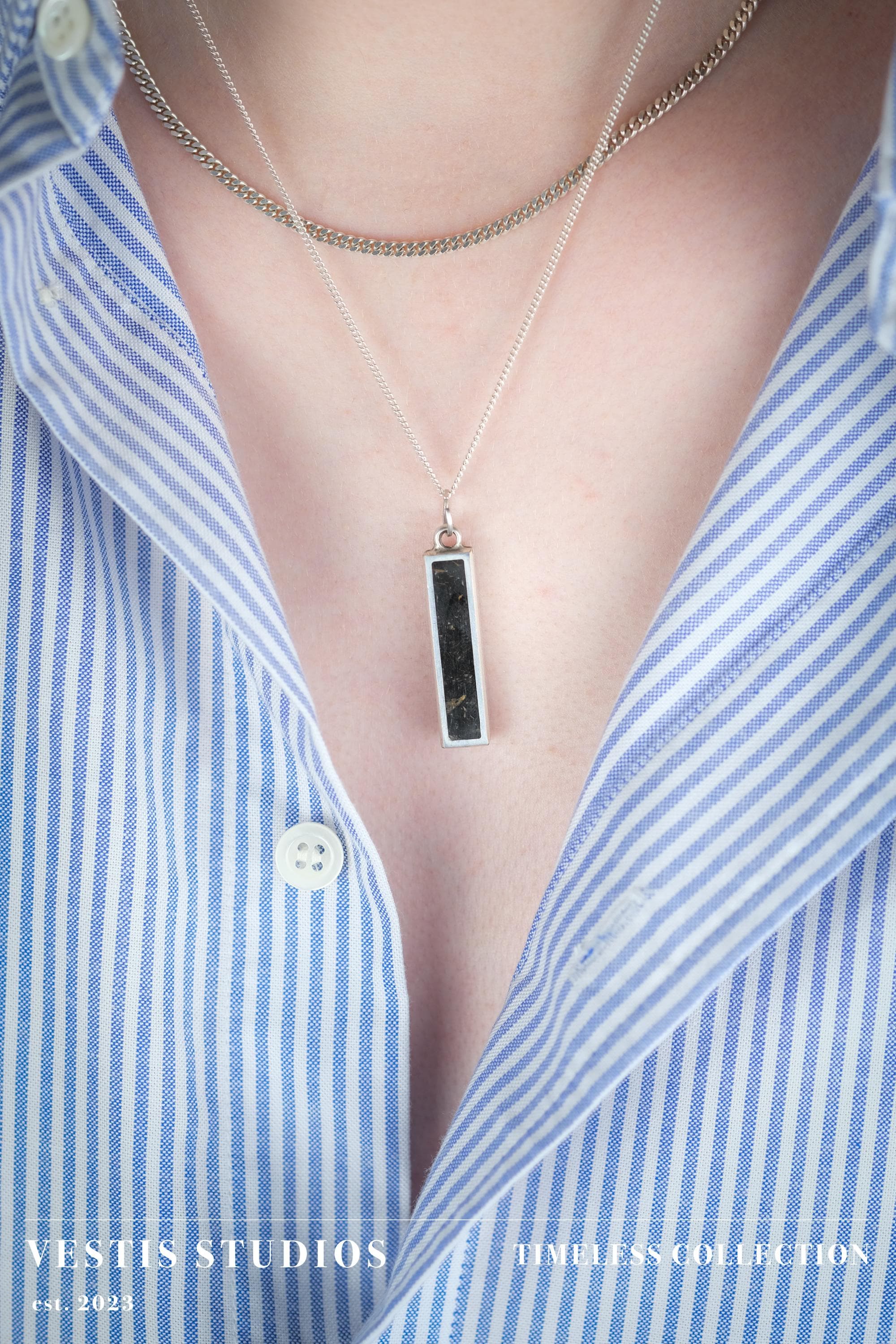 Diplodocus Fossil Necklace – Plated Silver